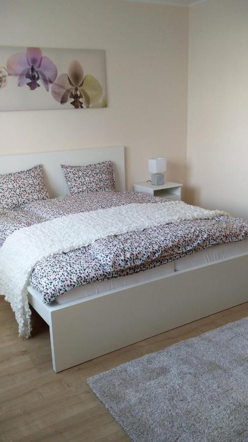 קלוצ'ה River Side Apartman מראה חיצוני תמונה